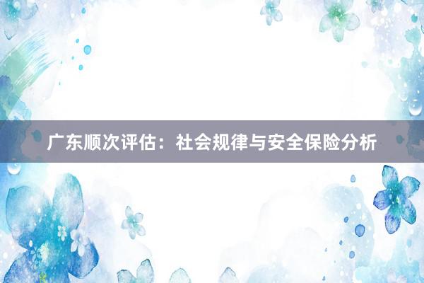 广东顺次评估：社会规律与安全保险分析